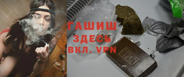спиды Богородицк