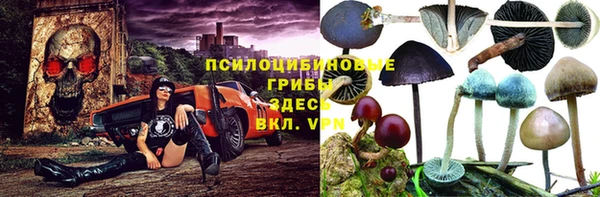 каннабис Белокуриха