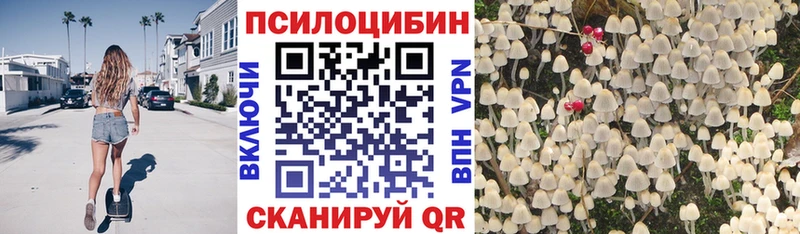 Псилоцибиновые грибы мицелий  Дюртюли 